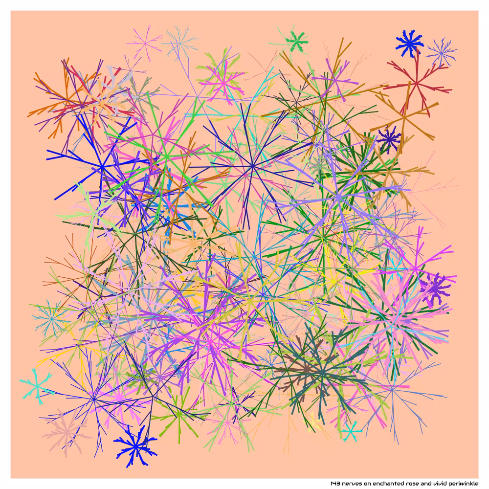 143 nerves on enchanted rose and vivid periwinkle