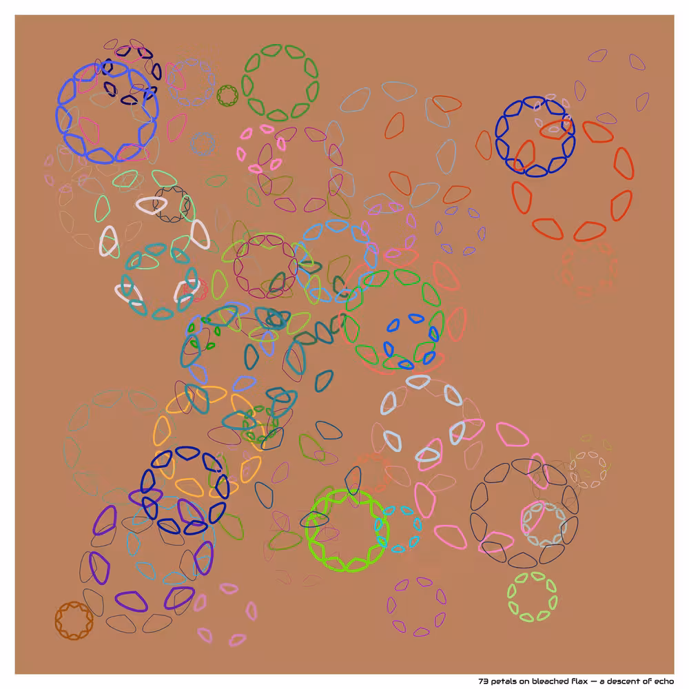 73 petals on bleached flax — a descent of echo