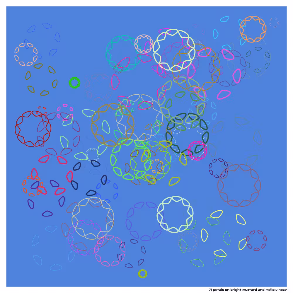 71 petals on bright mustard and mellow haze